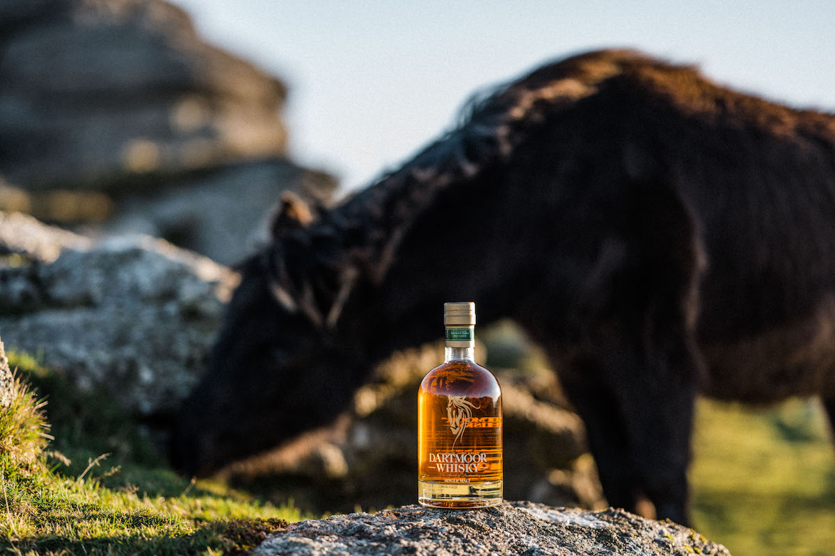 Dartmoor Whisky on the moors